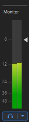 The audio monitor strip with left and right meter bars and the gain triangle